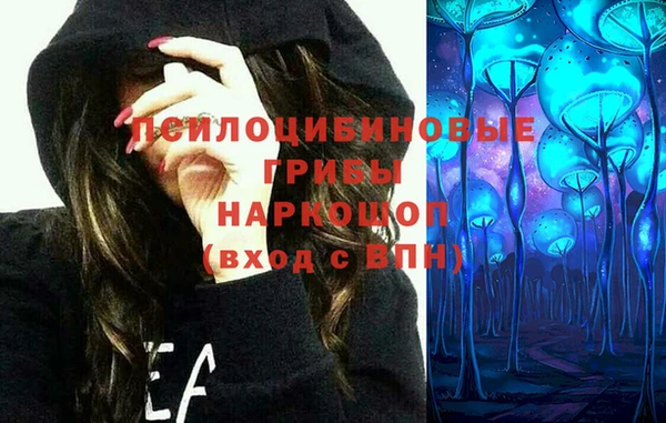 тгк Мегион