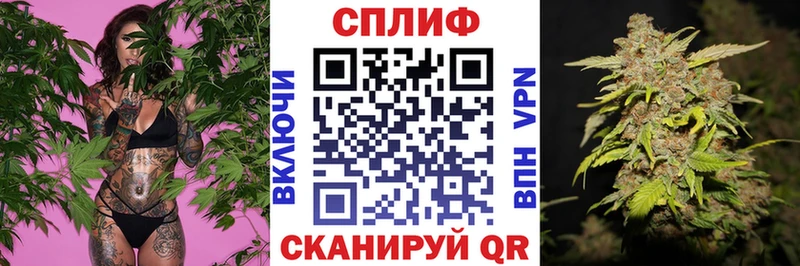 ссылка на мегу онион Плавск Конопля тримм
